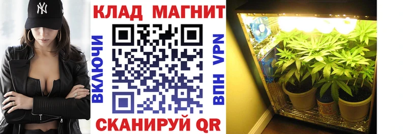 Где найти наркотики Гусиноозёрск Кокаин  Меф  ГАШ 