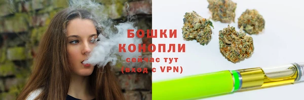 спайс Вяземский