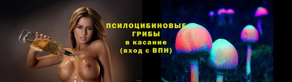 стаф Володарск