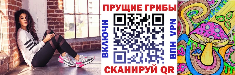 Псилоцибиновые грибы MAGIC MUSHROOMS магазин наркотиков Гусиноозёрск
