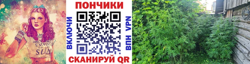 Бошки марихуана Amnesia hydra сайт Гусиноозёрск